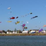 Kite-Festival auf der anderen Seite des Sees