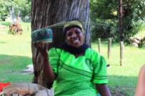 woman, weaving baskets in Royal Natal NP